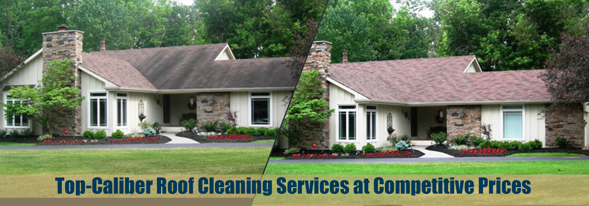 Professional Roof and Cleaning Services